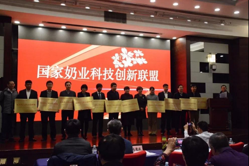 long8-龙八(中国)唯一官方网站