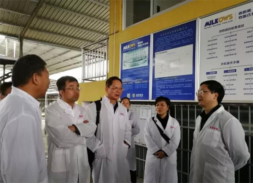 long8-龙八(中国)唯一官方网站